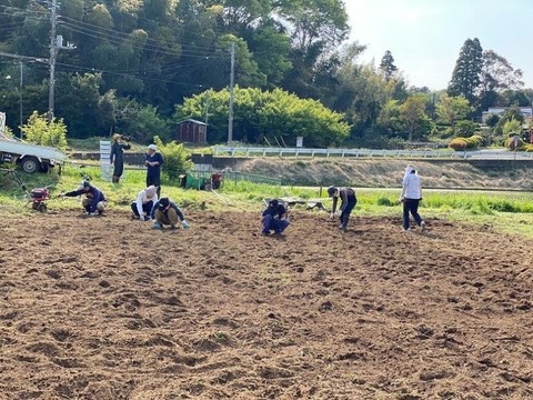 030425【古民家宙】開墾作業③.jpeg
